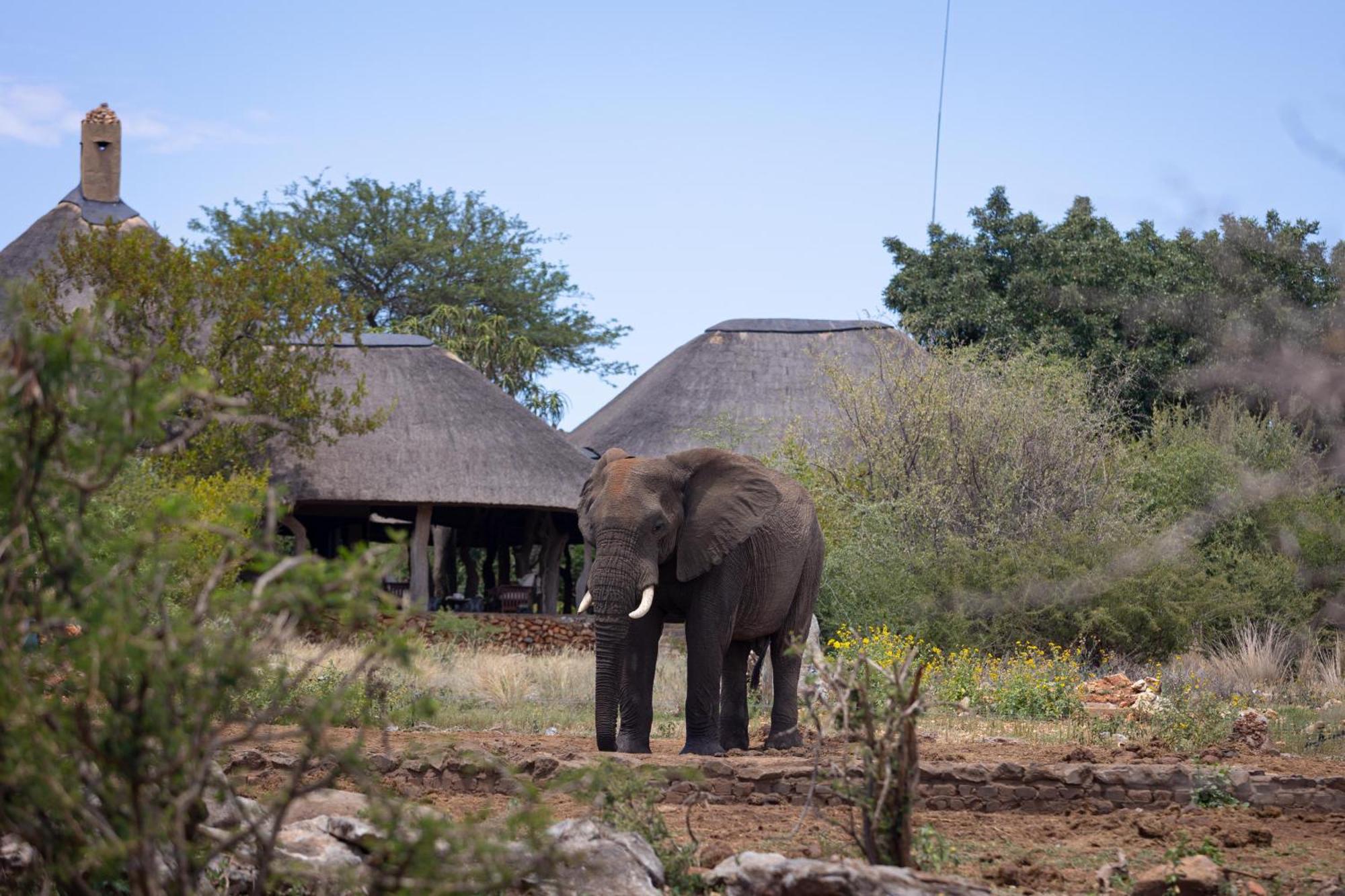 Rhulani Safari Lodge Madikwe Wildreservaat Buitenkant foto