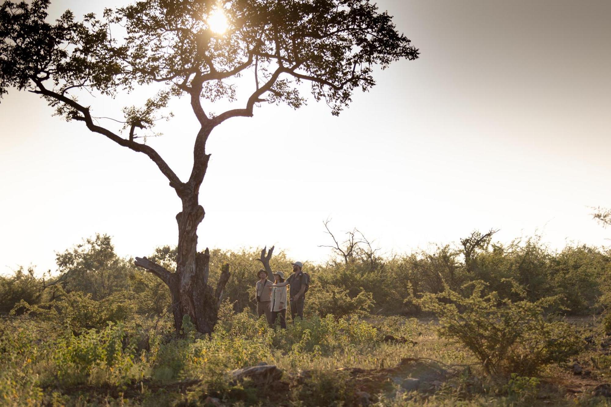 Rhulani Safari Lodge Madikwe Wildreservaat Buitenkant foto