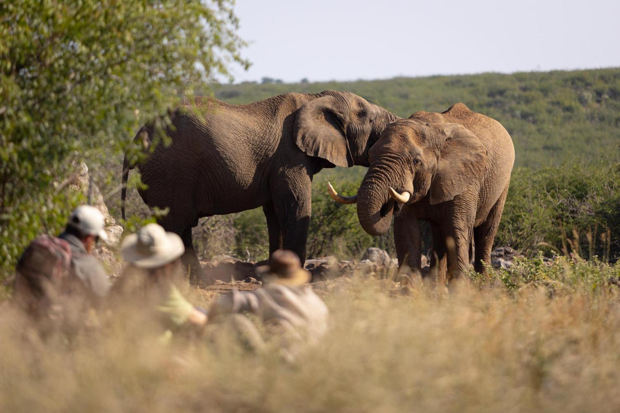 Rhulani Safari Lodge Madikwe Wildreservaat Buitenkant foto