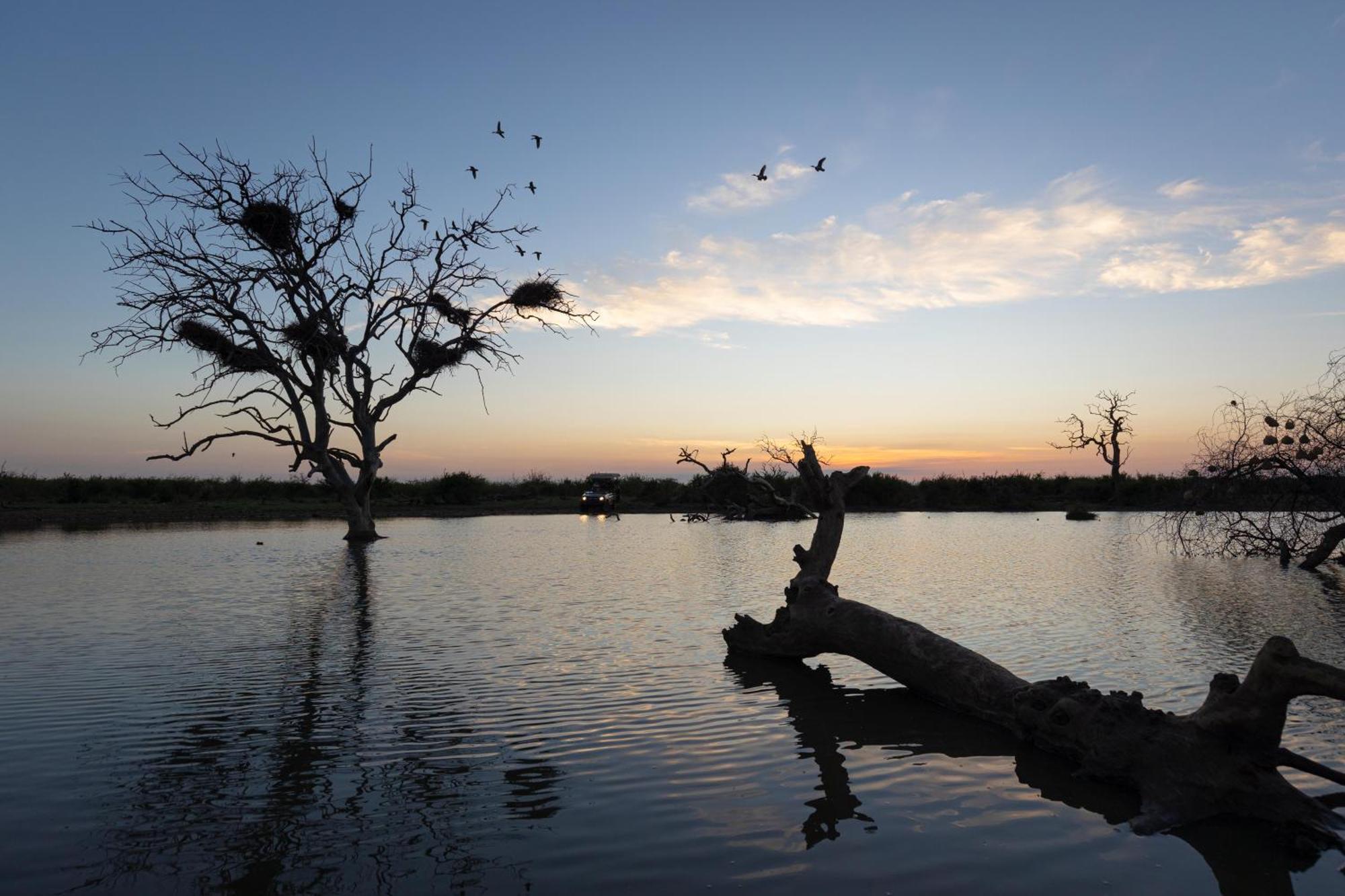 Rhulani Safari Lodge Madikwe Wildreservaat Buitenkant foto