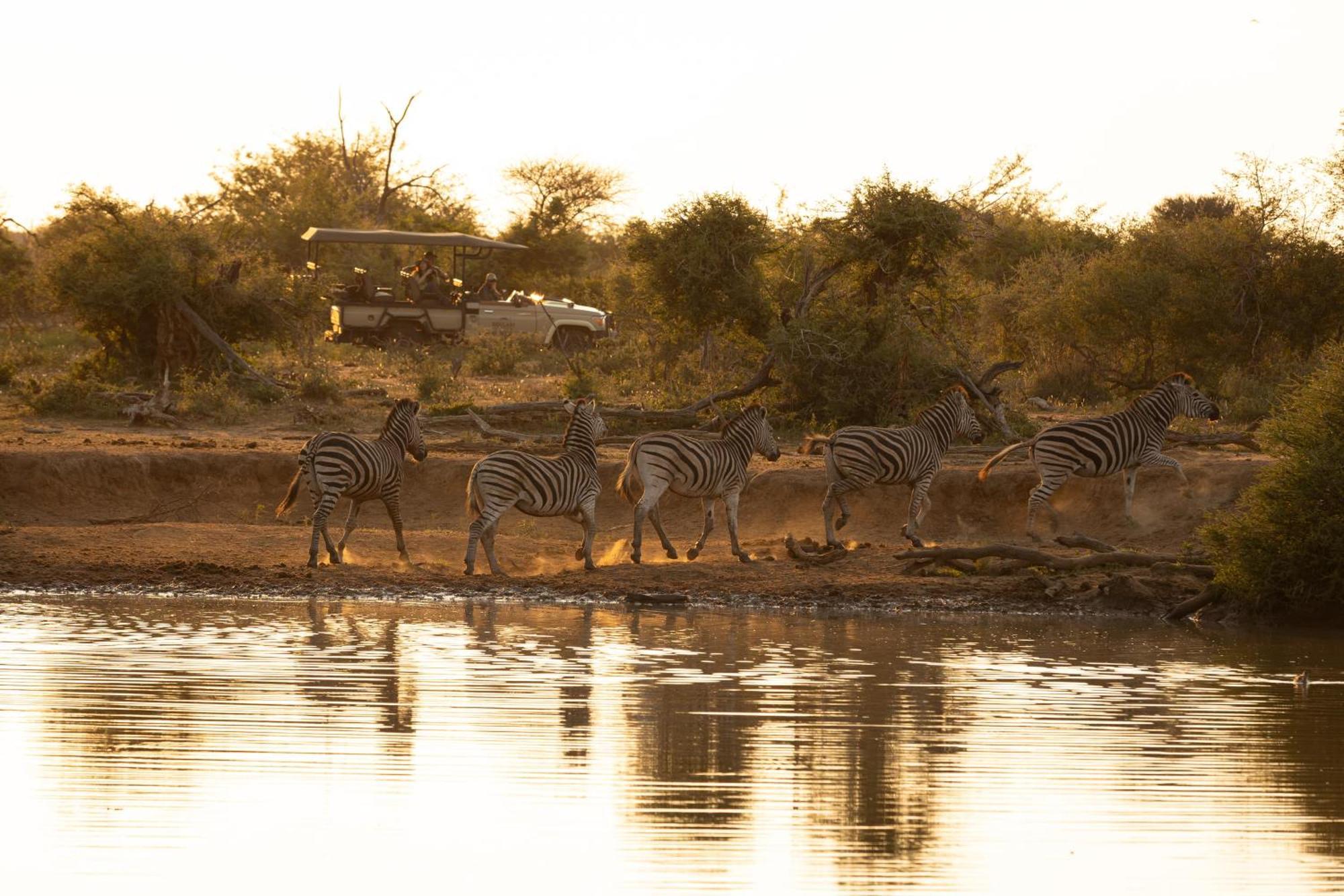 Rhulani Safari Lodge Madikwe Wildreservaat Buitenkant foto