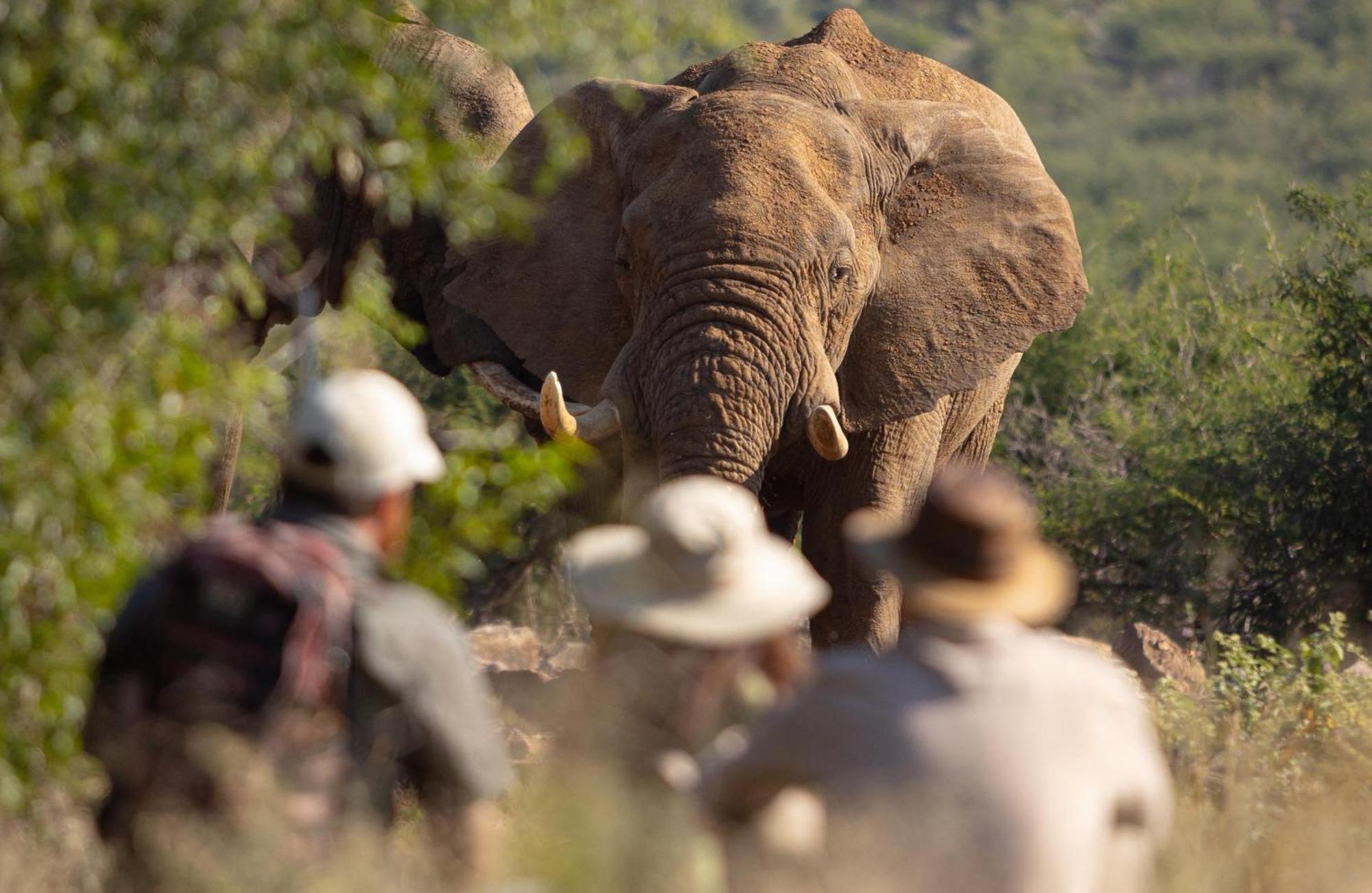 Rhulani Safari Lodge Madikwe Wildreservaat Buitenkant foto