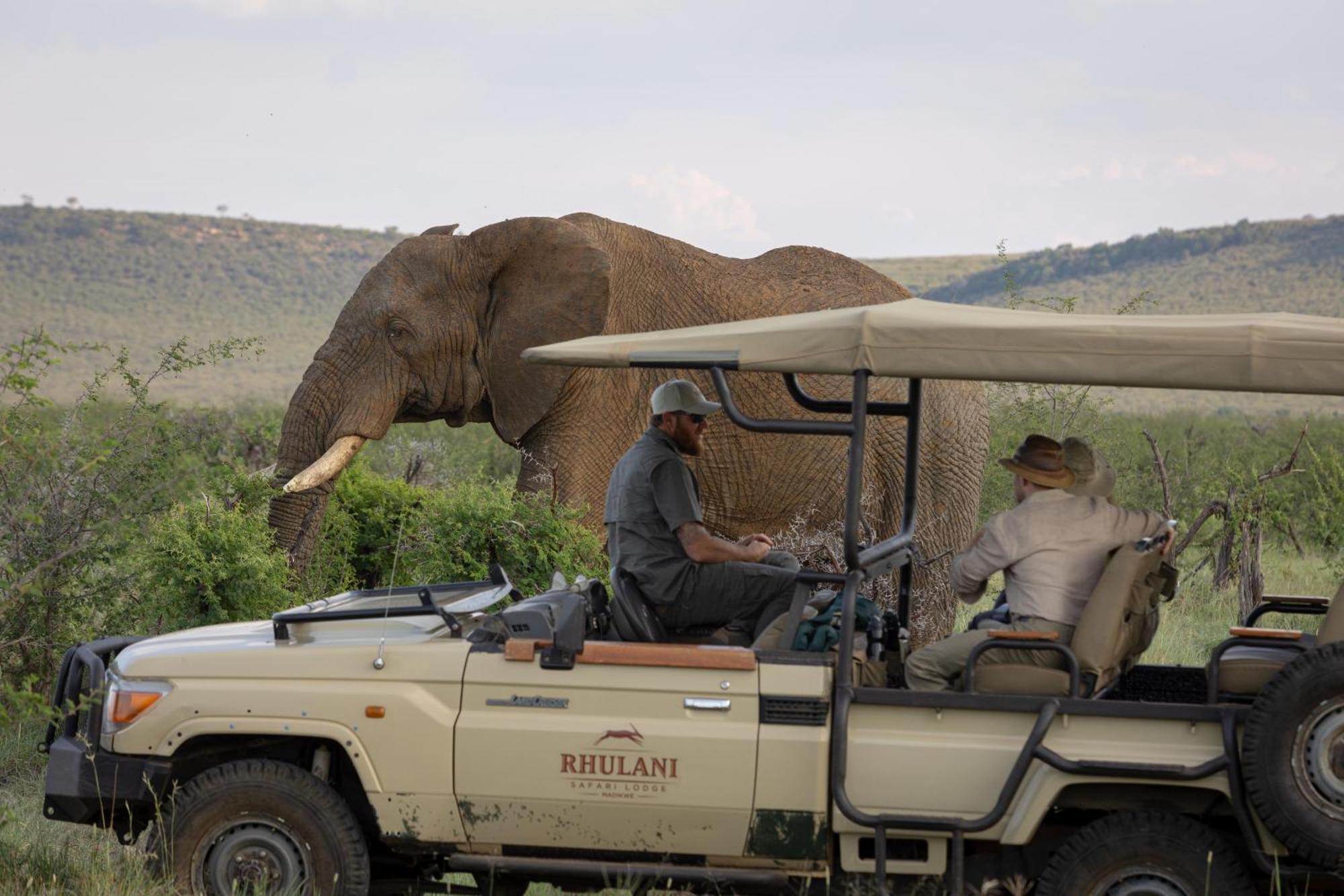 Rhulani Safari Lodge Madikwe Wildreservaat Buitenkant foto